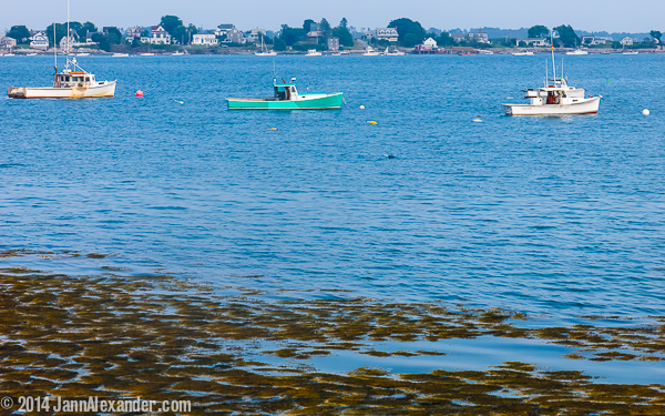 Lobster Boats in Maine